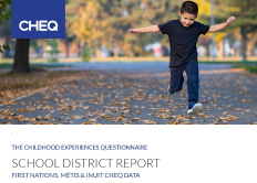 Standard Data Report PDF </br><small>(All available years of data aggregated by School District)</small>