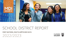 Standard Data Report PDF </br><small>(All available years of data aggregated by School District for Gr. 4-8)</small>
